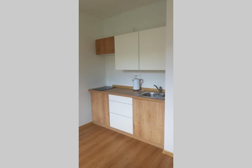 Apartman Jakub Sklar Železná Ruda Extérieur photo